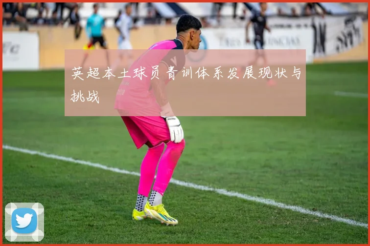 英超本土球员青训体系发展现状与挑战