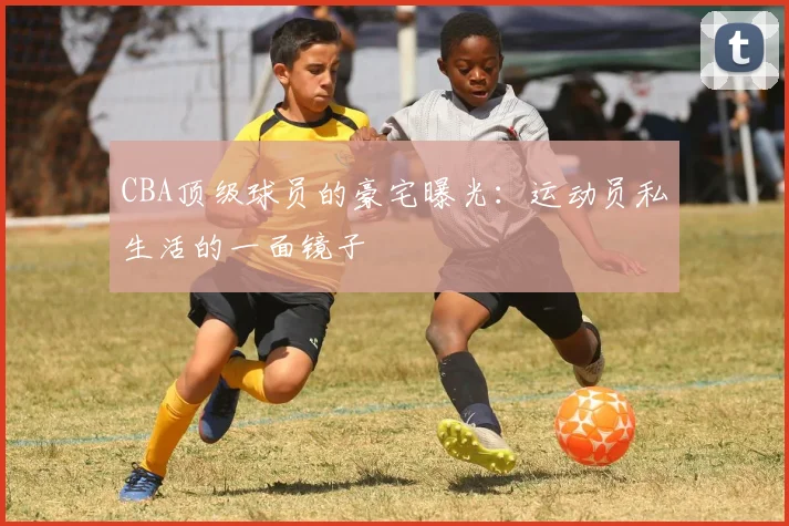 CBA顶级球员的豪宅曝光：运动员私生活的一面镜子