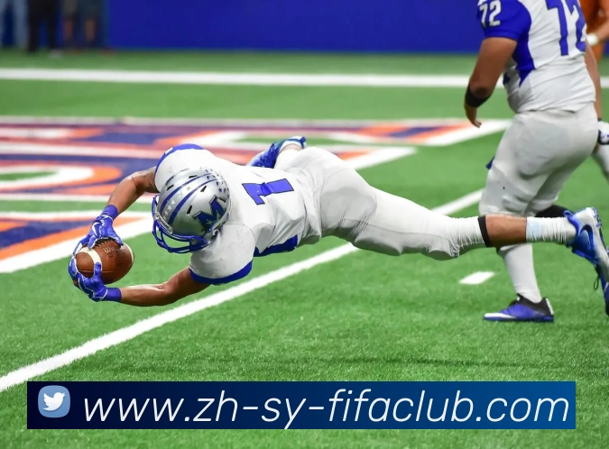 世界杯直播平台生态图