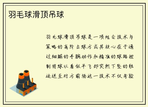 羽毛球滑顶吊球